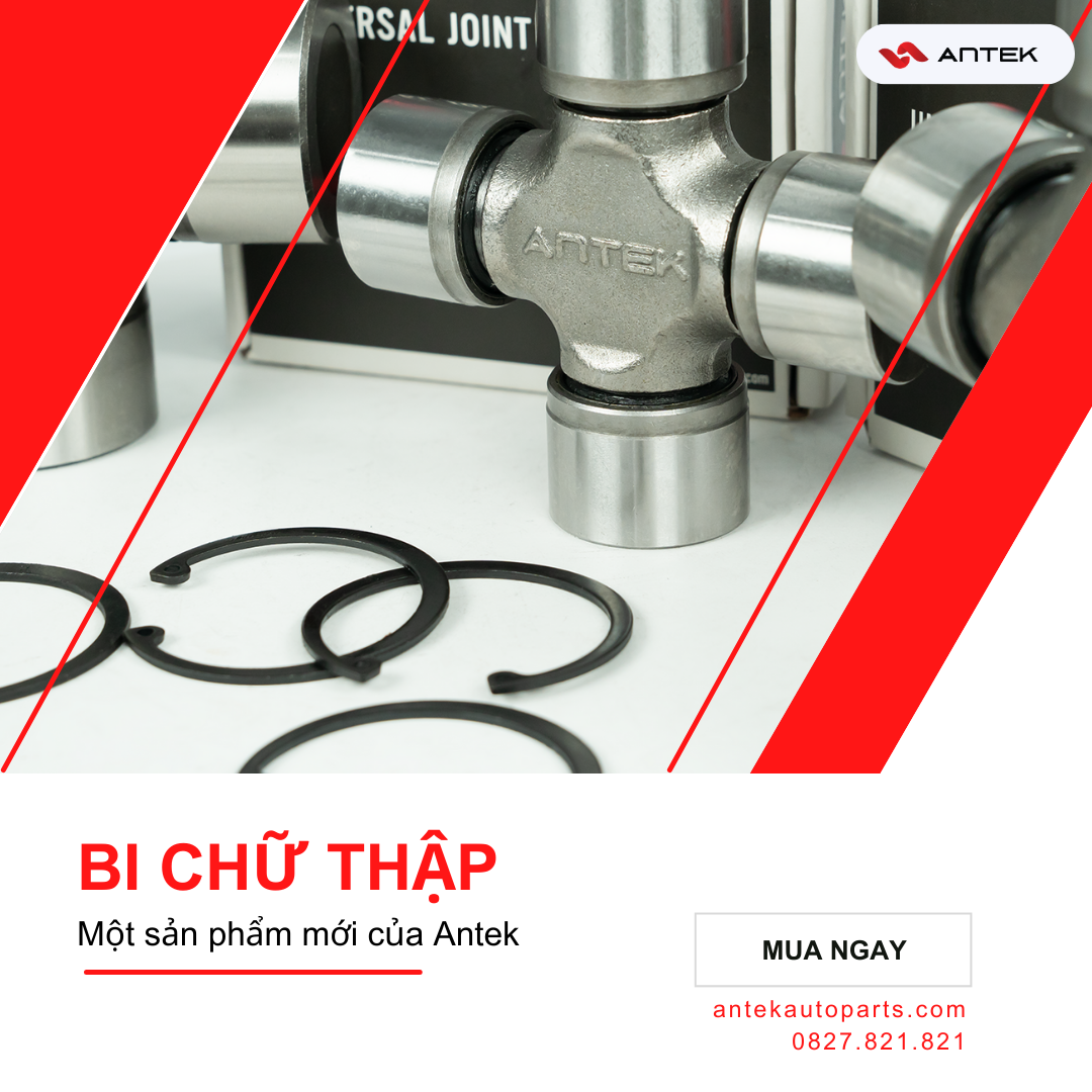 Bi chữ thập Antek