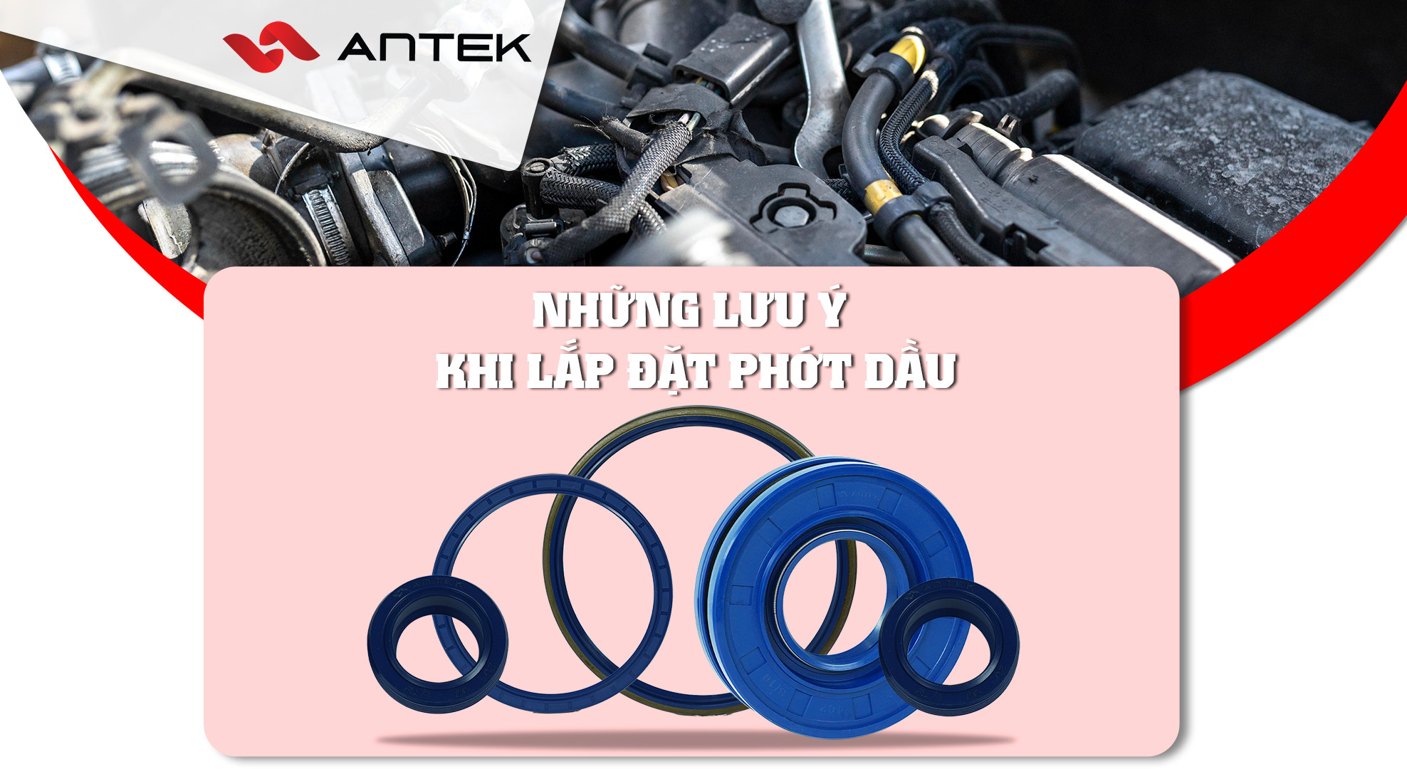 lắp đặt phớt dầu