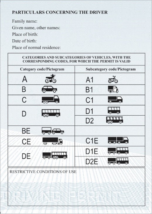 Phần khai về người lái xe và phân hạng IDP in bằng tiếng Anh